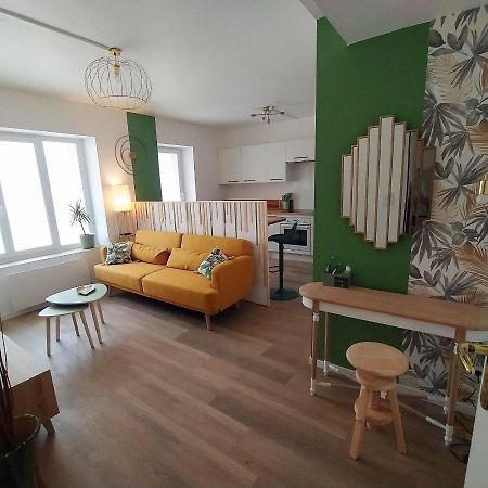 Magnifique T3 Centre Ville Avec Wifi Rdc Limoux Εξωτερικό φωτογραφία
